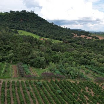 Agroforestry Systems_Ubá
